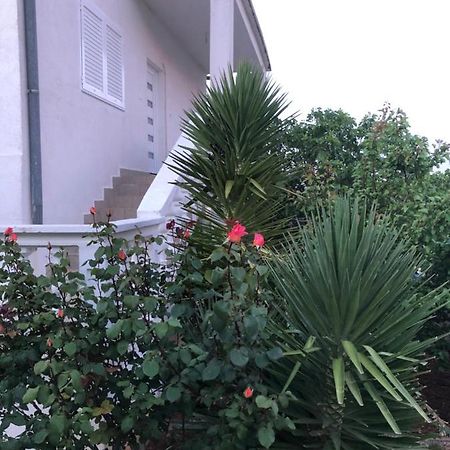 Apartment Raslina מראה חיצוני תמונה