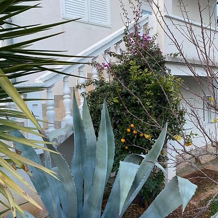 Apartment Raslina מראה חיצוני תמונה