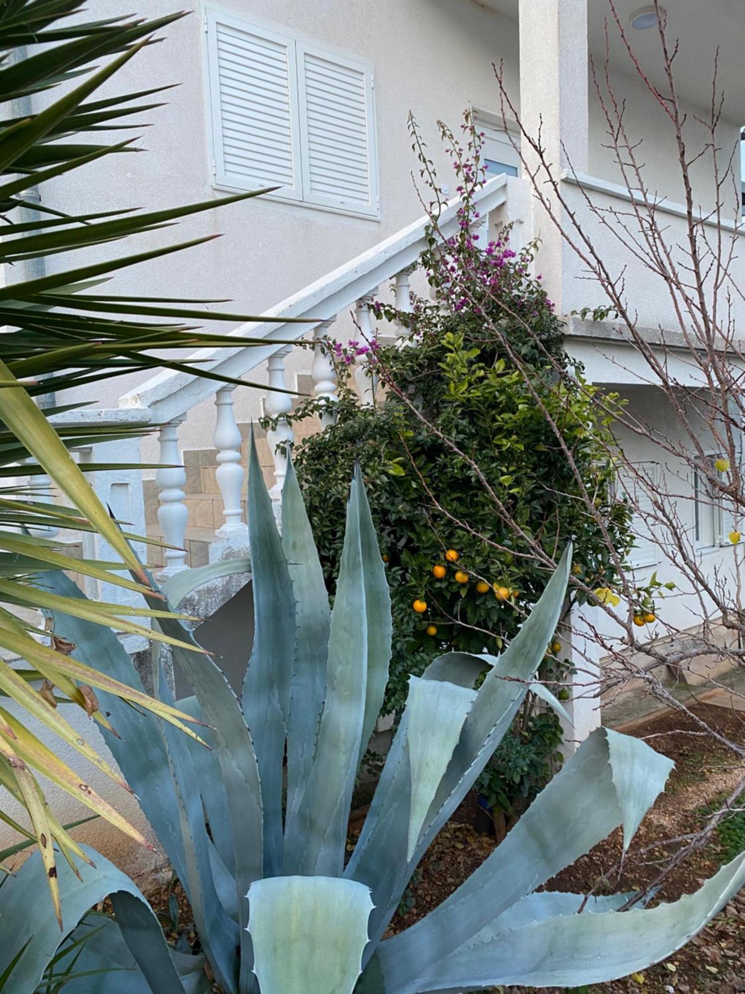 Apartment Raslina מראה חיצוני תמונה